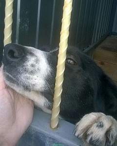 737 X 919 153.7 Kb 749 X 831 139.0 Kb    ,  