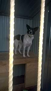 749 X 1334 175.4 Kb 737 X 919 153.7 Kb 749 X 831 139.0 Kb    ,  