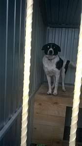 749 X 1334 180.6 Kb 749 X 1334 175.4 Kb 737 X 919 153.7 Kb 749 X 831 139.0 Kb    ,  