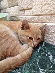 768 X 1024 276.7 Kb 768 X 1023 349.0 Kb     