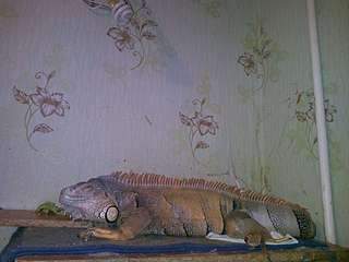 1920 X 1440 213.0 Kb   