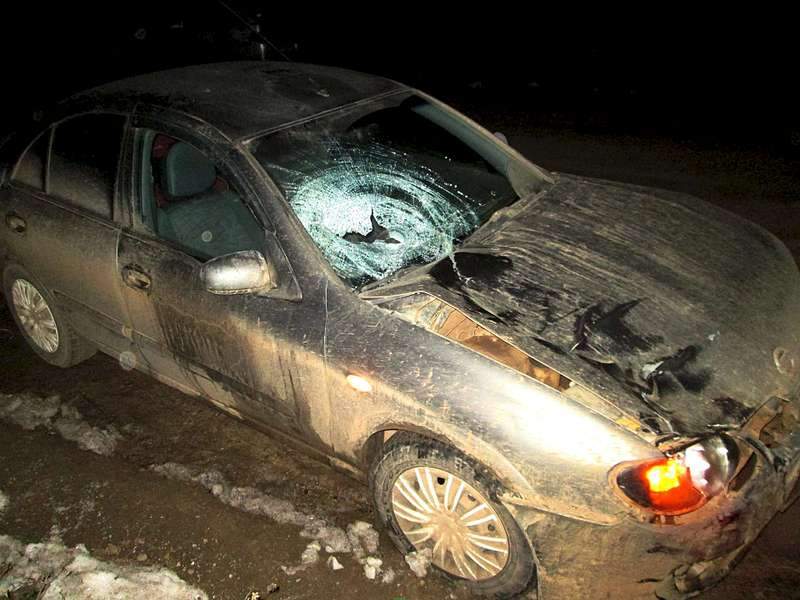 1920 X 1440 234.5 Kb 16-18.10.2015         - !