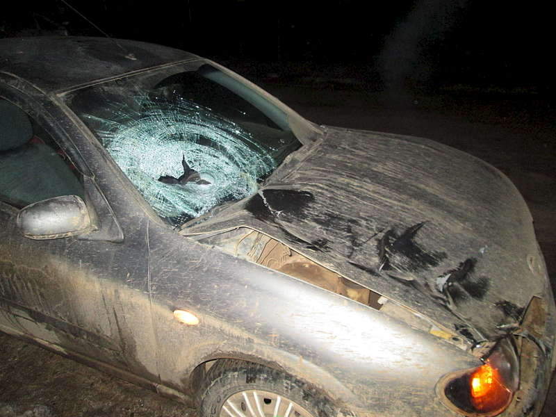 1920 X 1440 252.4 Kb 1920 X 1440 234.5 Kb 16-18.10.2015         - !