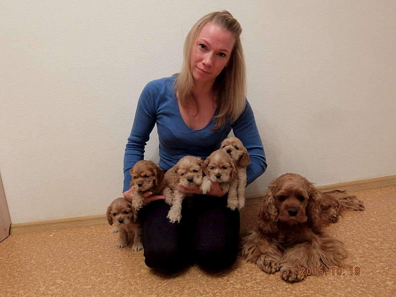 1920 X 1440 278.0 Kb    .