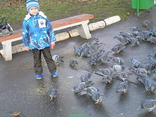 604 X 451 75.3 Kb 604 X 453 100.6 Kb 1920 X 1436 198.9 Kb          .    !