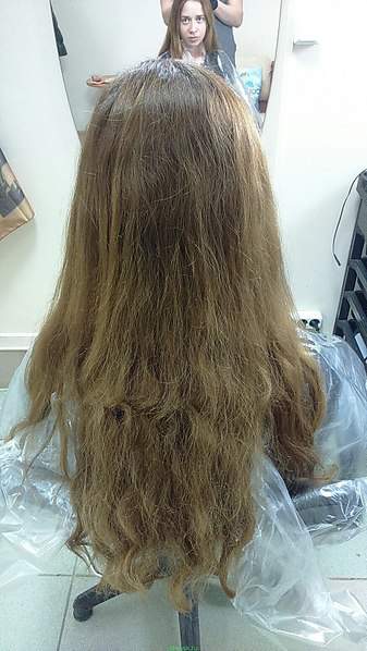 873 X 1552 360.6 Kb , , , .  !  !