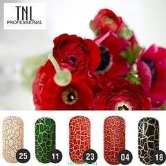 400 X 400  43.0 Kb   ,   .  ! !