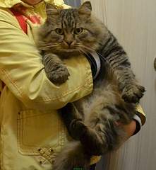 1255 X 1362 498.7 Kb   !