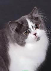 571 X 794 58.6 Kb   - Alfredo