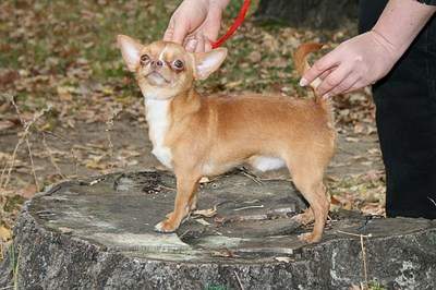 1293 X 860 282.3 Kb -