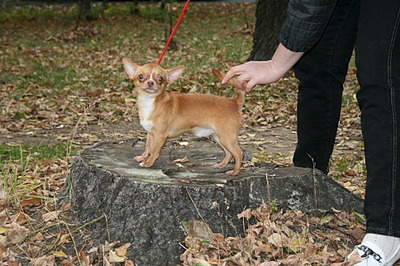 1936 X 1288 286.7 Kb -