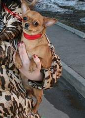 1147 X 1586 349.3 Kb -