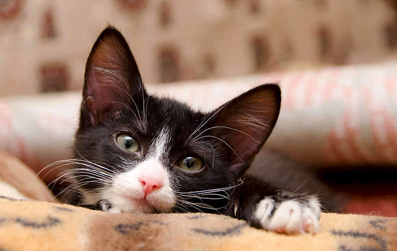 1920 X 1211 195.6 Kb .      .