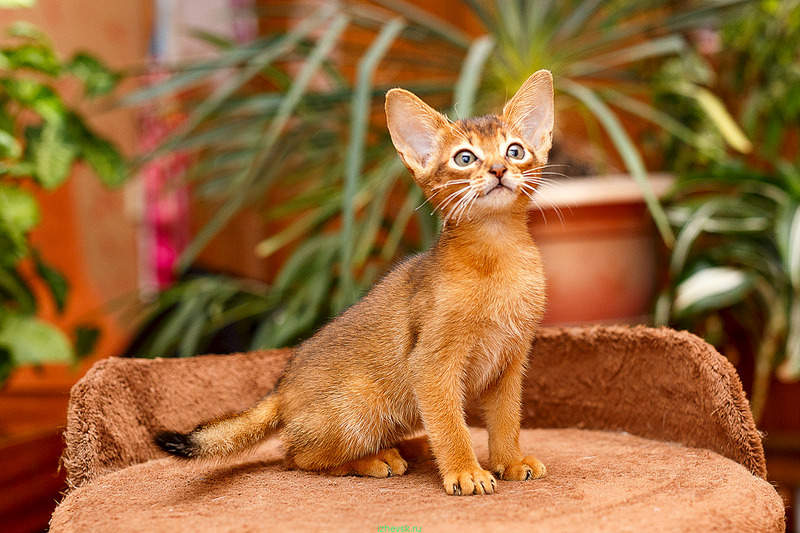 1280 X 853 158.4 Kb 1280 X 1280 197.1 Kb  