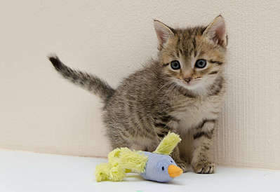 1920 X 1317 197.8 Kb  , ,     