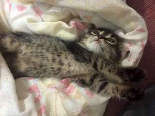 1920 X 1440 216.1 Kb 781 X 525 641.3 Kb 1920 X 2560 278.5 Kb  ,     