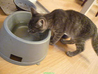 640 X 480 138.5 Kb 640 X 480 145.0 Kb 640 X 480 153.5 Kb 640 X 480 176.0 Kb 1920 X 1440 244.1 Kb  , ,     