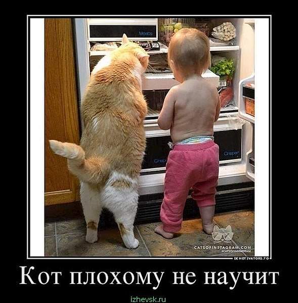 593 X 604 69.3 Kb Улыбнемся?