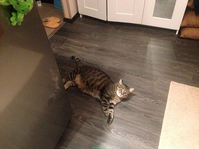 960 X 720 139.6 Kb 960 X 720 140.9 Kb  .   .     !