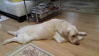 1920 X 1080 151.2 Kb  ,    