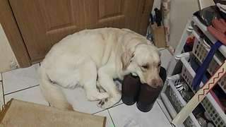 1920 X 1080 111.3 Kb 1920 X 1080 151.2 Kb  ,    