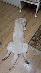 1161 X 2064 217.8 Kb 1920 X 1080 111.3 Kb 1920 X 1080 151.2 Kb  ,    