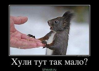 500 X 359  22.0 Kb |||     