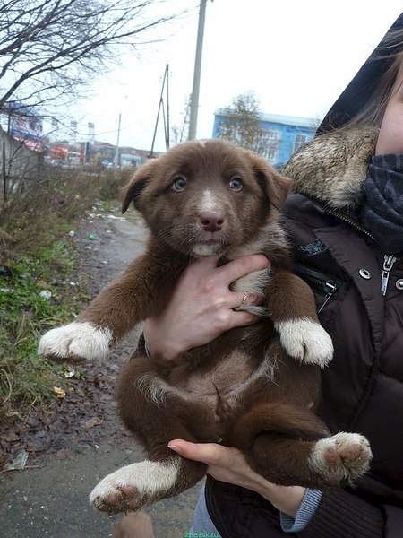 810 X 1080 172.4 Kb 810 X 1080 122.3 Kb 810 X 1080 135.0 Kb 810 X 1080 185.6 Kb 810 X 1080 200.6 Kb          !