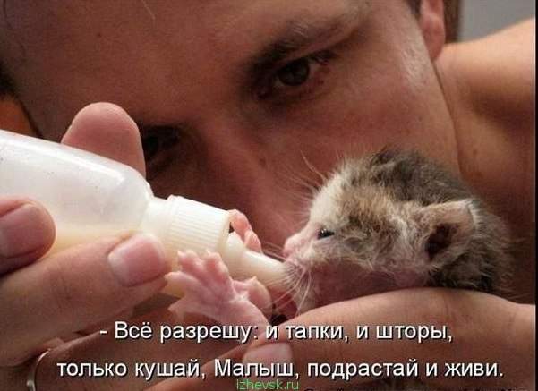 601 x 437 Клуб 'Сила Добра. г. Ижевск .' помощь людям в трудной жизненной ситуации.