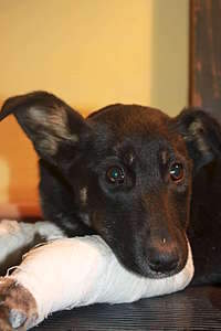 1920 X 2880 280.3 Kb 1920 X 1280 201.8 Kb 1920 X 2880 325.6 Kb .   .   . .... !