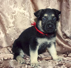 1907 X 1840 349.0 Kb 856 X 588 580.5 Kb  - !