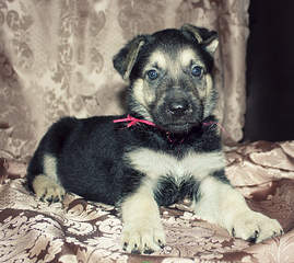 2009 X 1792 397.9 Kb 1907 X 1840 349.0 Kb 856 X 588 580.5 Kb  - !