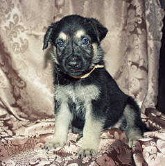 2009 X 2021 443.8 Kb 1920 X 1515 283.5 Kb 2009 X 1792 397.9 Kb 1907 X 1840 349.0 Kb 856 X 588 580.5 Kb  - !