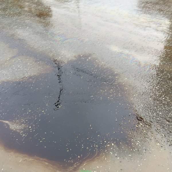 1080 X 1080 201.1 Kb 1080 X 1080 255.0 Kb 1280 X 960 346.8 Kb 29.10.2015   .   .    .