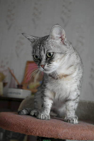 853 X 1280 113.7 Kb 853 X 1280 114.6 Kb    .