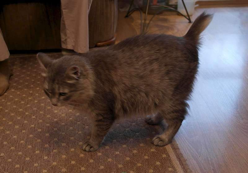 1920 X 1344 189.4 Kb 1920 X 1280 159.1 Kb    .