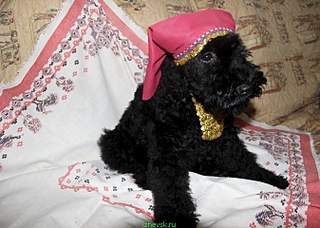 673 X 480 192.6 Kb  --