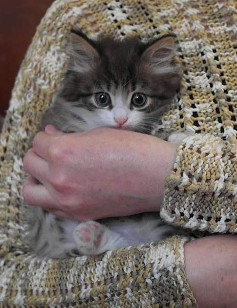 1920 X 2485 334.5 Kb 1920 X 1236 145.3 Kb     .