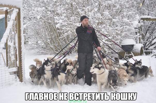 604 x 400 Улыбнемся?
