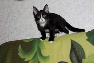 1920 X 1280 172.9 Kb .      .