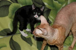 1920 X 1280 149.5 Kb 1920 X 1406 230.1 Kb 1920 X 1280 172.9 Kb .      .