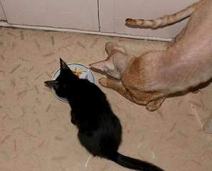 1920 X 1544 139.2 Kb .      .