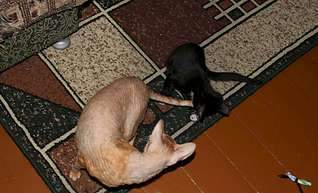 1920 X 1163 200.5 Kb .      .