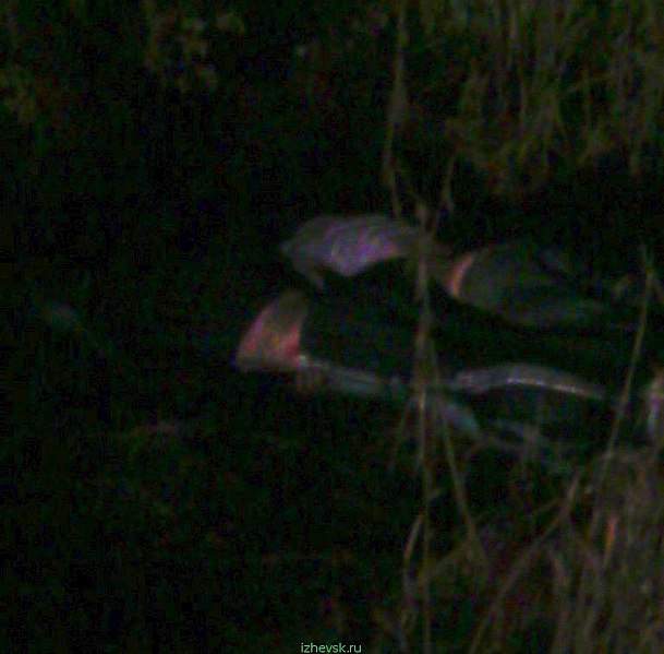 768 X 756 52.5 Kb 1920 X 1392 183.8 Kb 1920 X 1150 126.9 Kb 05.11.2015   - ,   . 2 . 18