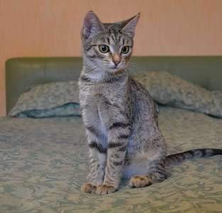 1920 X 1839 236.5 Kb    