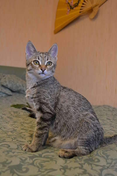 1920 X 2880 323.8 Kb    