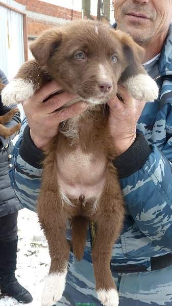 607 X 1080 136.6 Kb          !