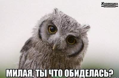 604 X 395  38.1 Kb Улыбнемся?