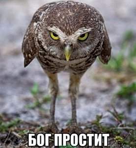 558 X 604  62.6 Kb 604 X 362  34.2 Kb 604 X 395  38.5 Kb 604 X 395  38.1 Kb Улыбнемся?