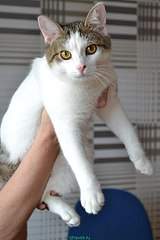 538 X 807 55.8 Kb 807 X 713 68.5 Kb    